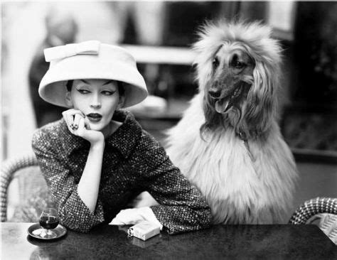 Richard Avedon dog